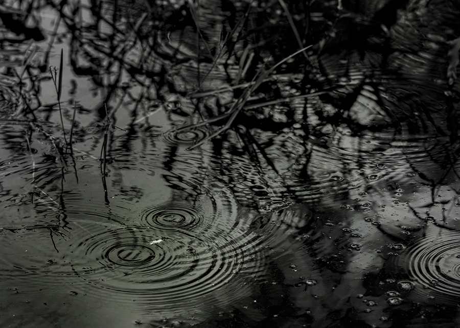 かなしき雨音