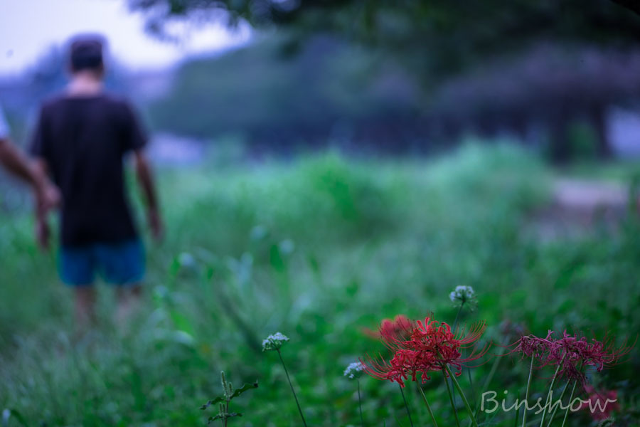 DSC02200花と小父さん-2