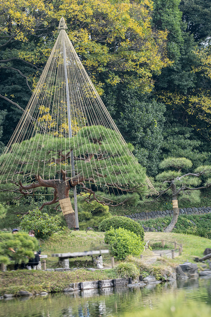 DSC08946.清澄庭園の秋もよう