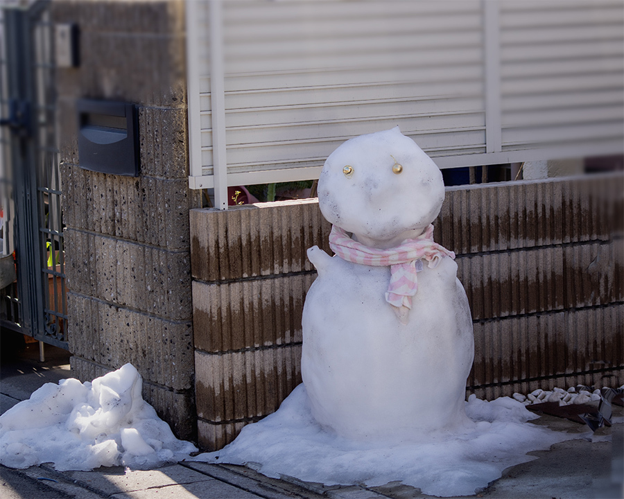 DSC09883. cute snowman