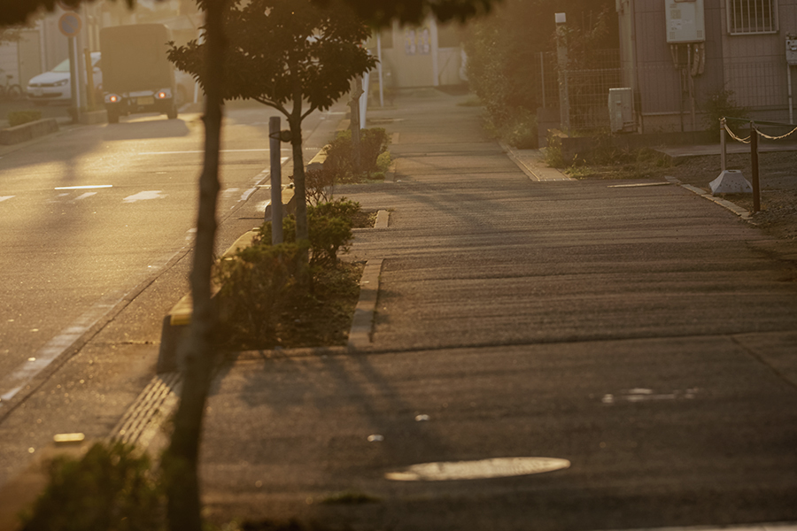 DSC04909.  秋 序章