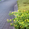 DSC02435. 迫り出す