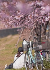 DSC07565 早くもミニ花見.
