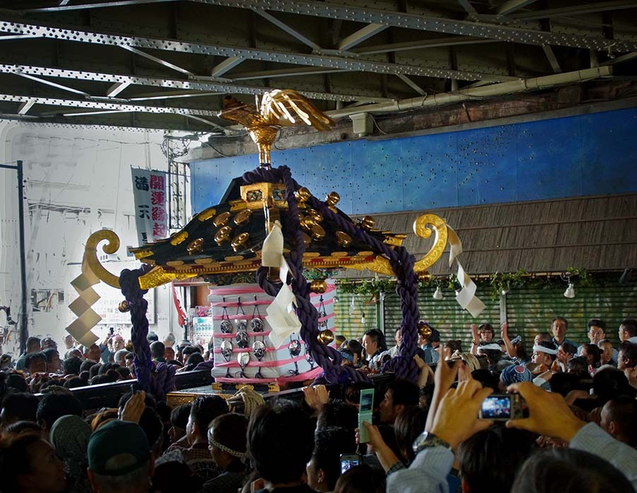 DSC00134. 追憶　鳳凰羽ばたく