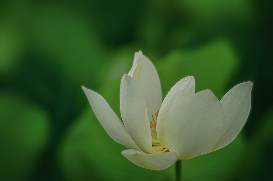 DSC07510. 静謐
