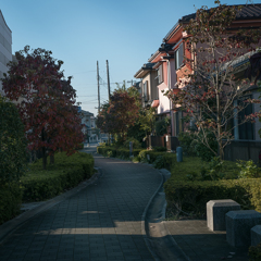 遊歩道の秋模様.