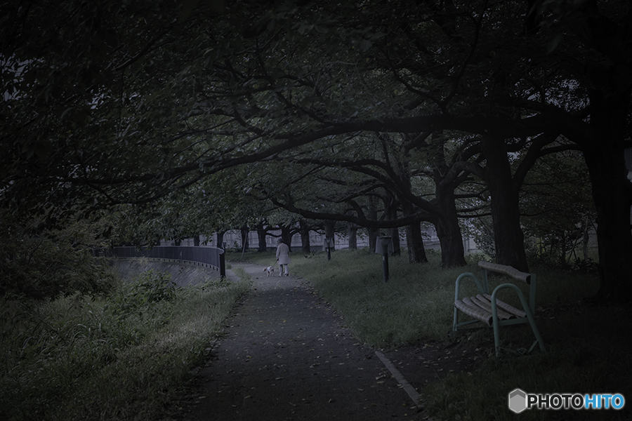 DSC09073-静かな遊歩道