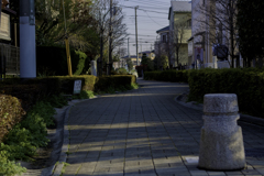 朝の遊歩道-2