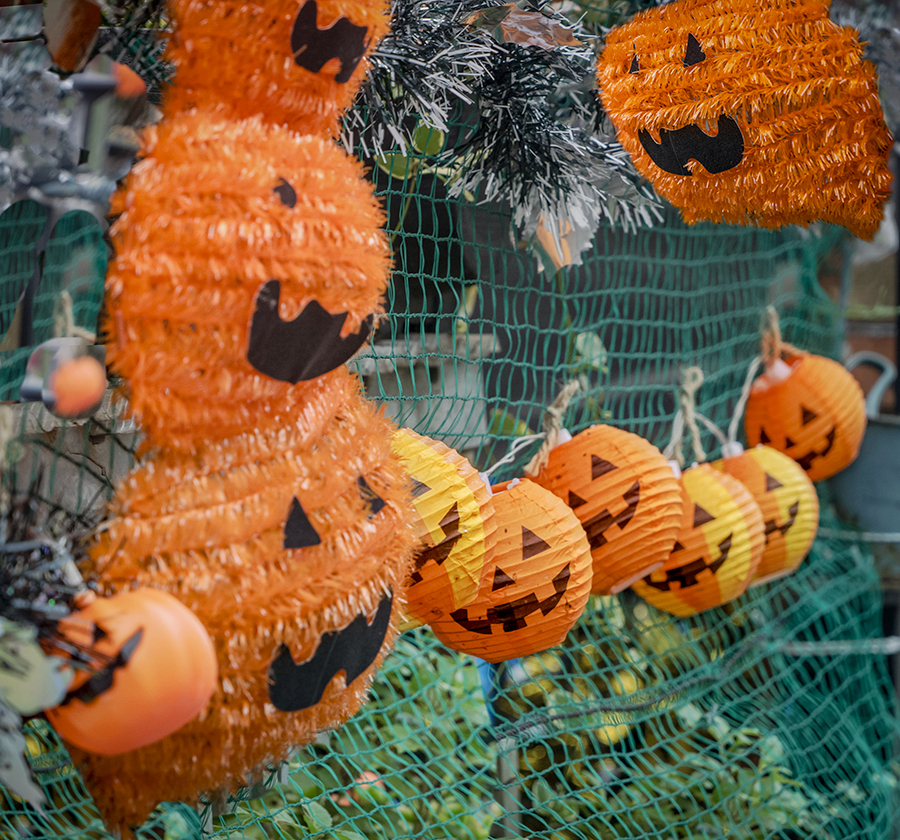 DSC09728. 横丁のハローウィン