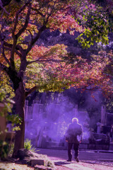 DSC04944-紅葉16番