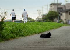 DSC09439. 夏の朝