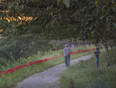 DSC05315.  秋の明け方