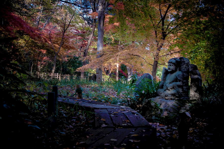 DSC01209.　名残の秋-5　 紅葉の森の普賢菩薩jpg