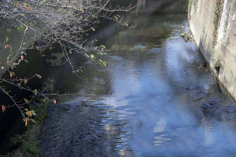 DSC05545. 神田川