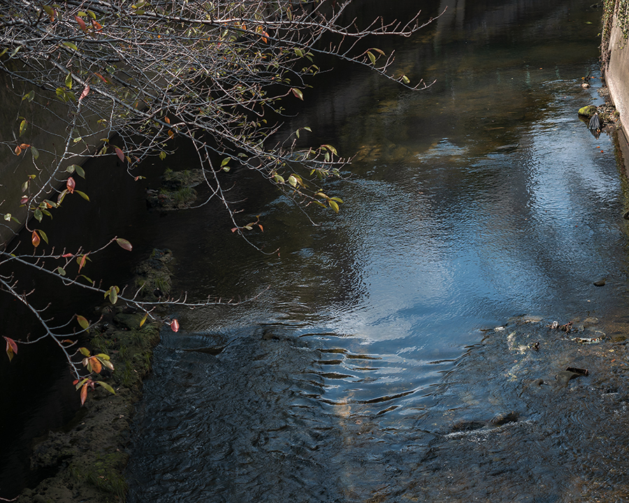 神田川　川面に映る秋の空
