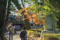 晩秋に訪ぬ   DSC02941