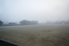 五里霧中  DSC02831 五里霧中  DSC02831