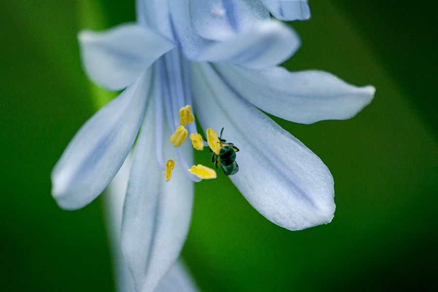 DSC02338. 夏の思い出