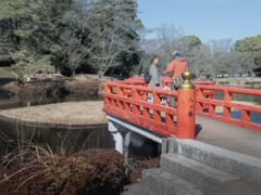 冬の散策人　P1060179 (002)