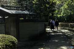DSC07736　木漏れ日の道
