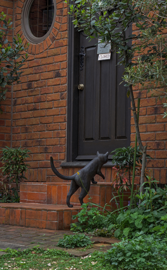 ごめんください、猫です