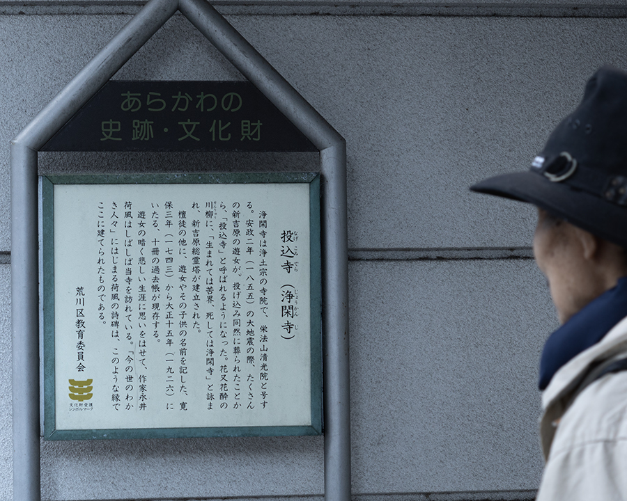 DSC05515. 見入る人