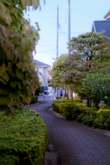 DSC02434.プロムナードは秋序章