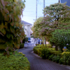DSC02434.プロムナードは秋序章
