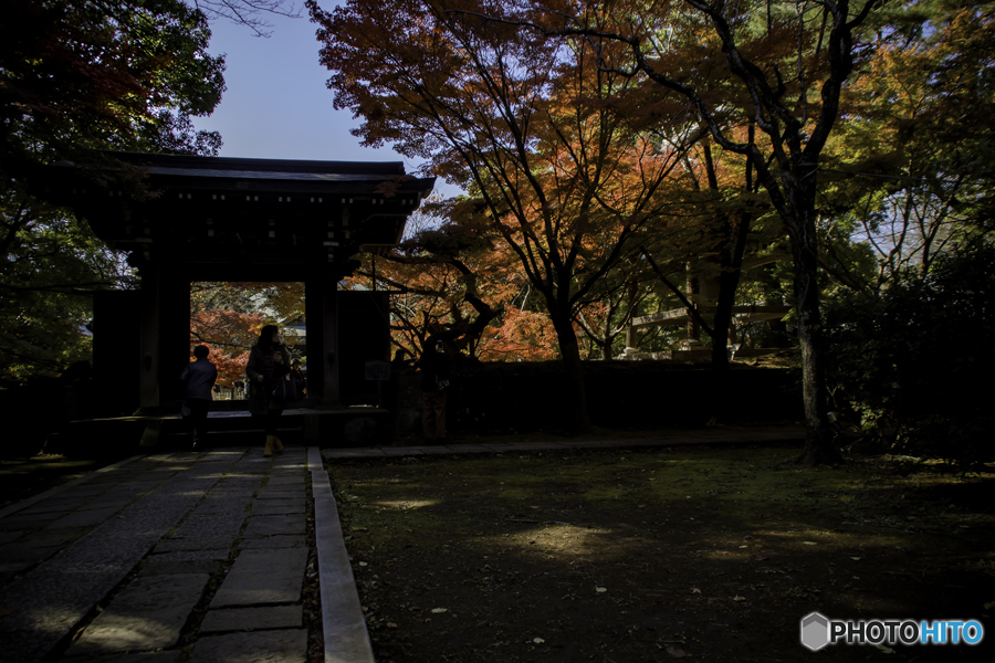 DSC00643.東漸寺発-2　 山門は招く紅葉の華jpg