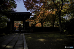 DSC00643.東漸寺発-2　 山門は招く紅葉の華jpg