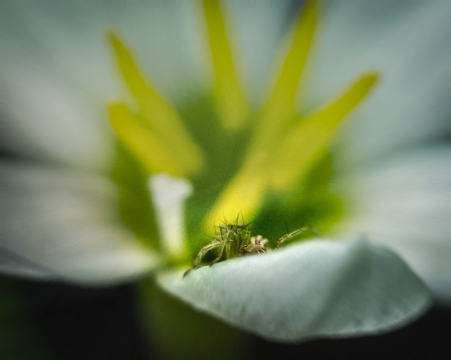 DSC09966.　此のポーズでいいか