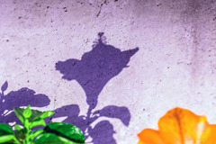 DSC04433-大地のカンバス-2