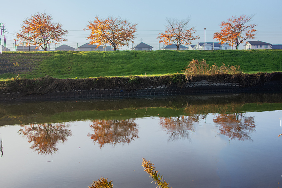 川面の秋もよう　DSC00914