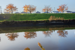 川面の秋もよう　DSC00914