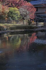 DSC06345. 晩秋の池蒼く澄み