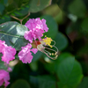 DSC02369. 秋も時めく