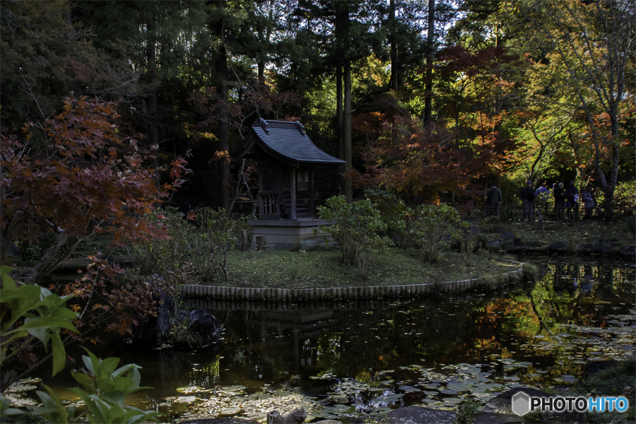 DSC00632 寺の秋-1