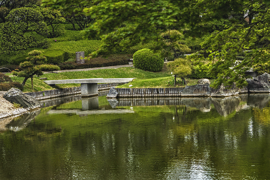 DSC00943 池の石橋 