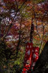 1２月の弁財天の杜.