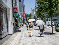 DSC07200 夏もよう