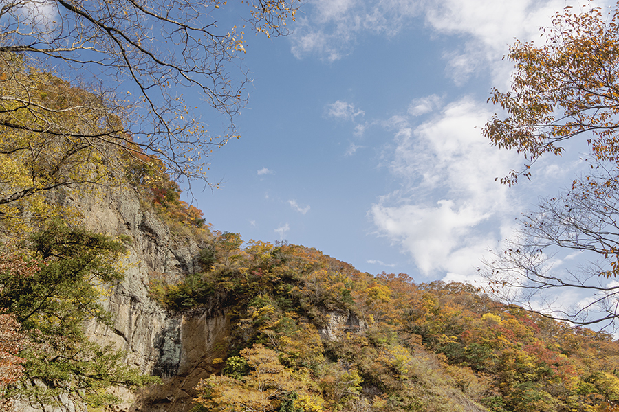 DSC09620. 稜線紅葉