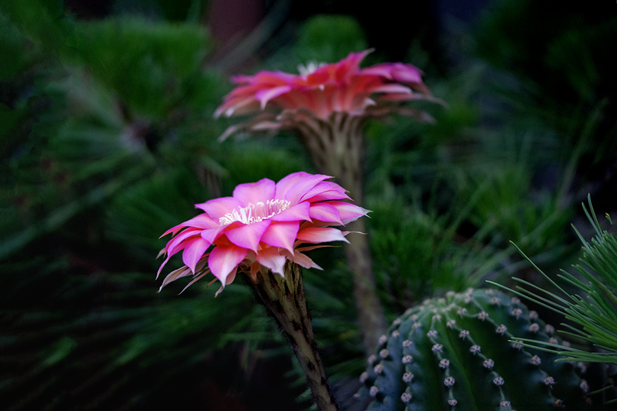 DSC02088. 旺盛丸