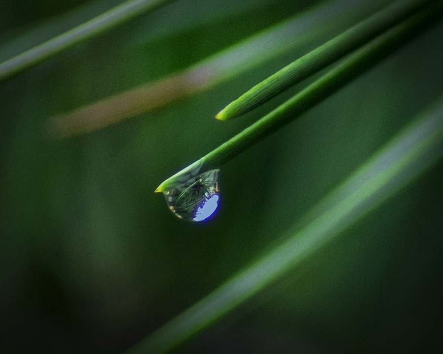 雨粒の世界