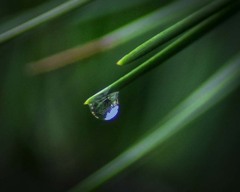 雨粒の世界
