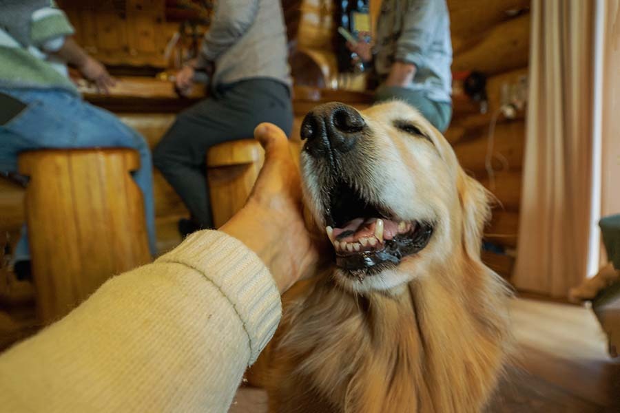 癒される　DSC03119