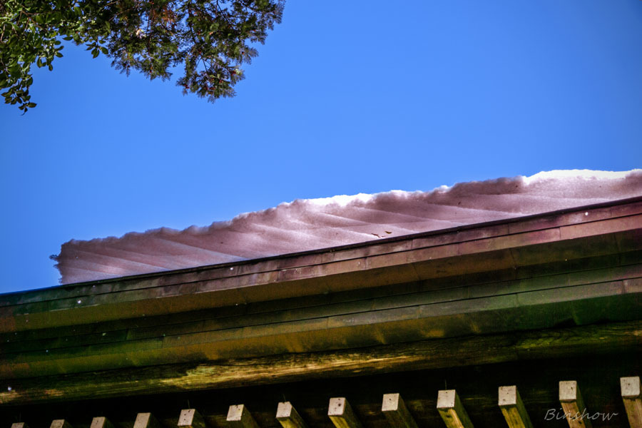 DSC04825-紅葉15番