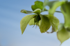 DSC06369 五月の朝