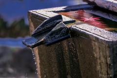 DSC04949-紅葉18番