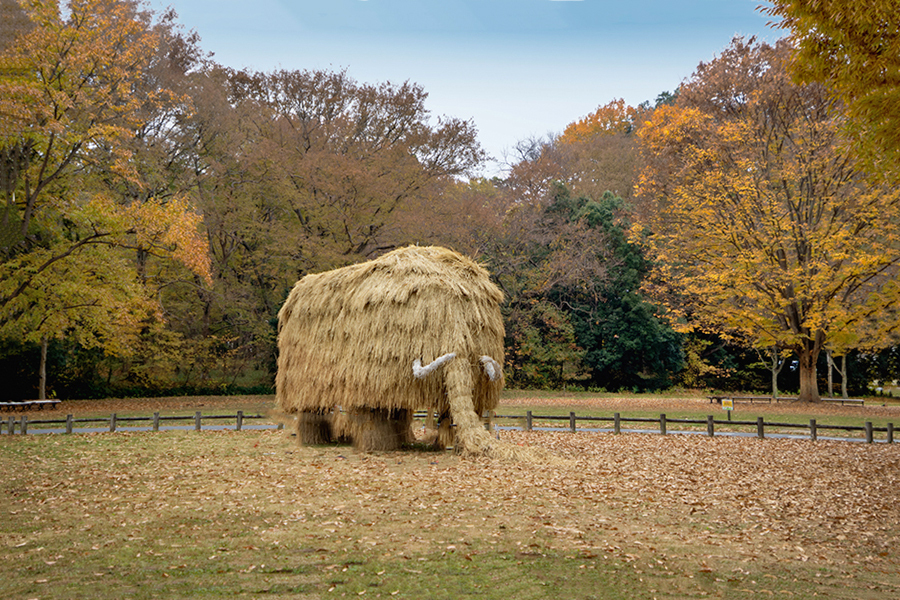 動け マンモス君 ♬♪  DSC02999.