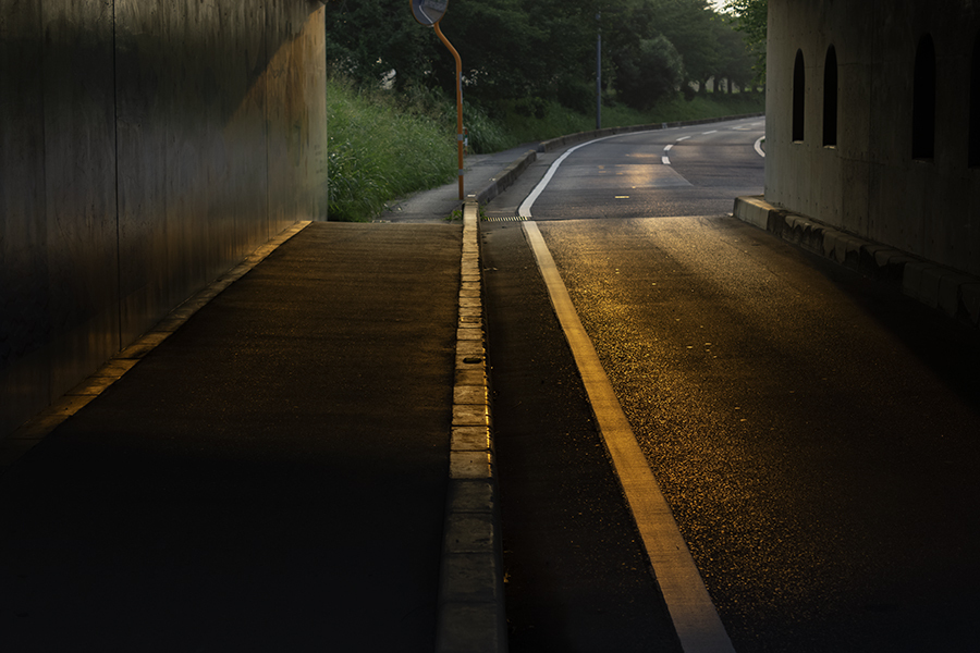 DSC04307. 朝の表情 jpg